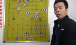 象棋入门教学视频,象棋入门教学视频精华概述